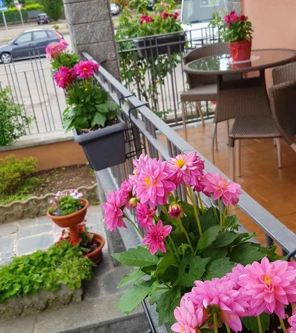 Bed and Breakfast Villa Rosina Rho