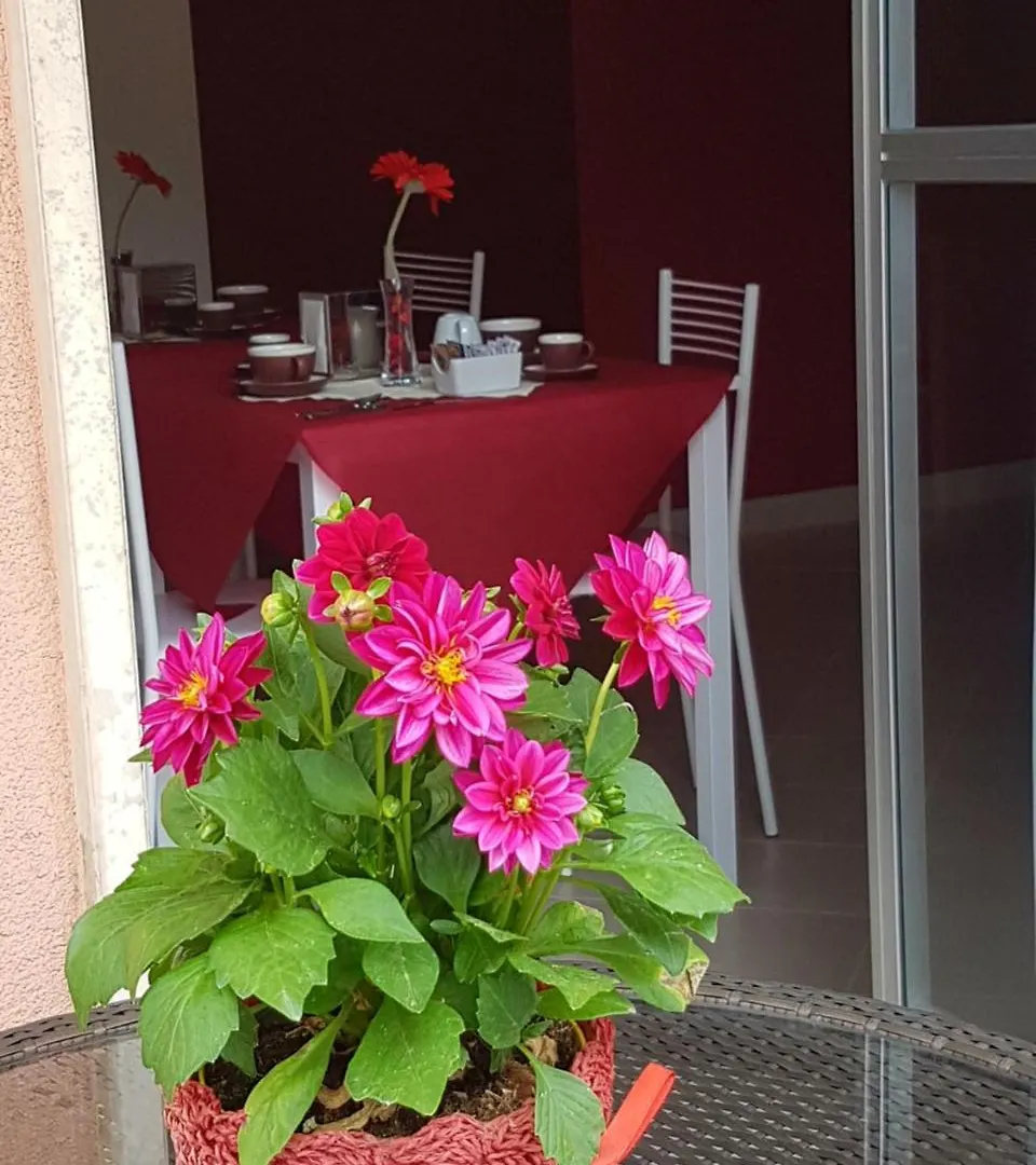 רו Villa Rosina